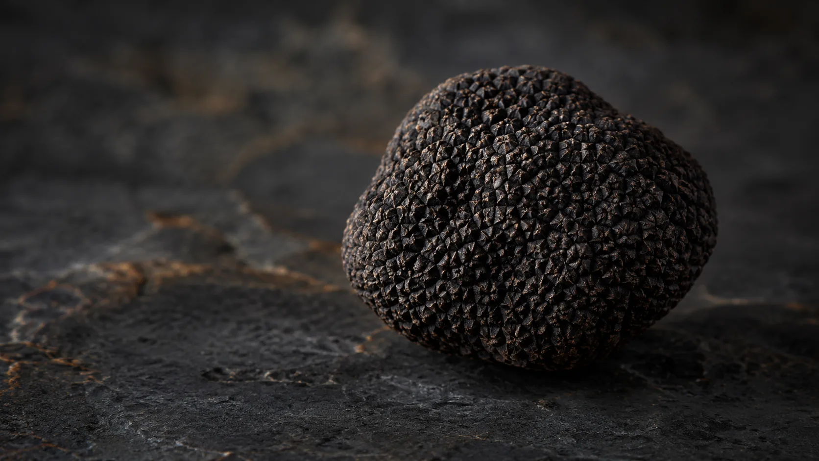 Trufas negras frescas Melanosporum - Coolchoice Algarve