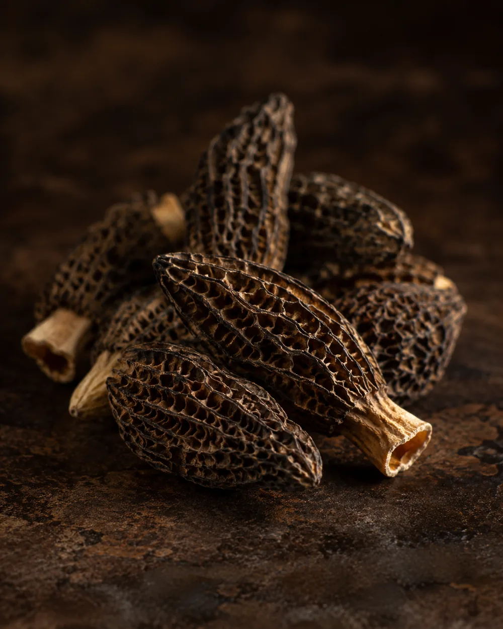 Morilles desidratados premium - cogumelos Morchella - Coolchoice Algarve